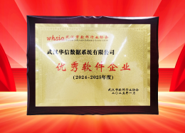 喜讯丨K8凯发(中国)数据获评2024~2025年度武汉市软件行业&ldquo;优秀企业&rdquo;、&ldquo;优秀工作者&rdquo;荣誉称号！